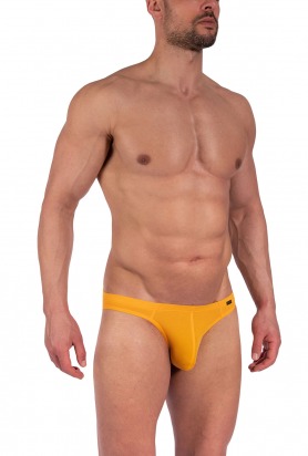 RED1601 Brazilbrief