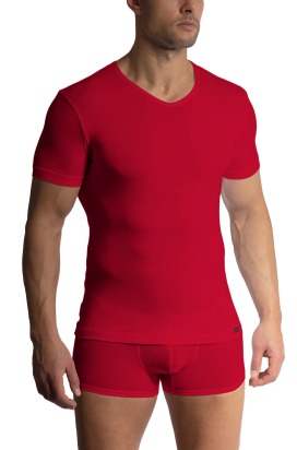 RED1601 V-Neck regular