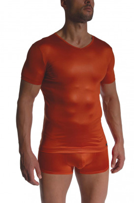 RED2480 V-Neck regular
