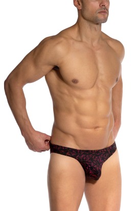 RED2502 Brazilbrief