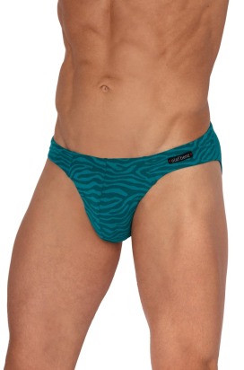 BLU2554 Sunbrief