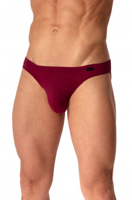 RED2555 Brazilbrief