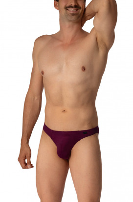 RED2656 Brazilbrief