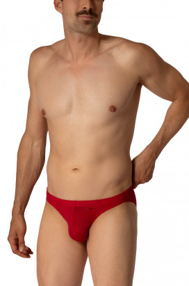RED2657 Brazilbrief