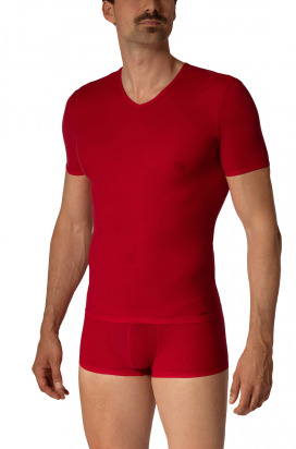 RED2657 V-Neck regular