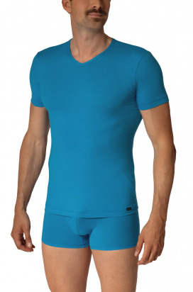 RED2658 V-Neck regular