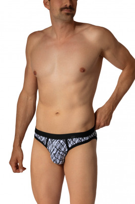 RED2660 Retrobrief