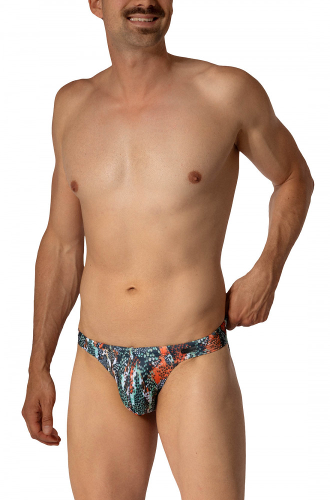 BLU2653 Sunbrief