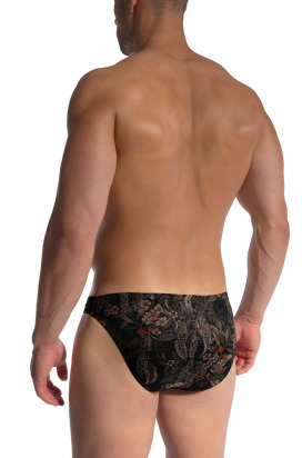 RED2478 Brazilbrief 