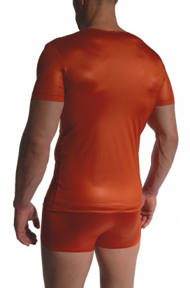 RED2480 V-Neck regular 
