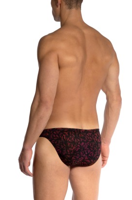 RED2502 Brazilbrief 