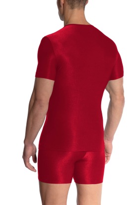 RED2507 V-Neck regular 