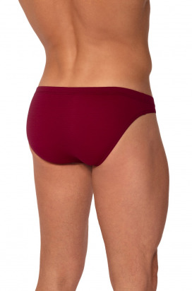 RED2555 Brazilbrief 
