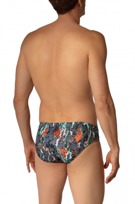 BLU2653 Beachbrief 