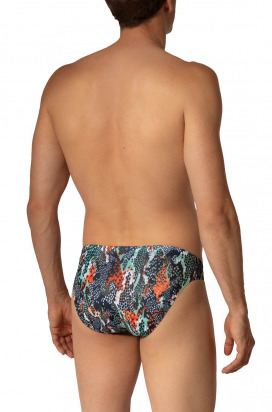 BLU2653 Sunbrief 