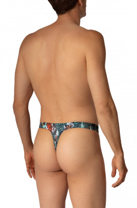 BLU2653 Sunstring 
