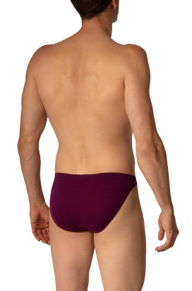 RED2656 Brazilbrief 