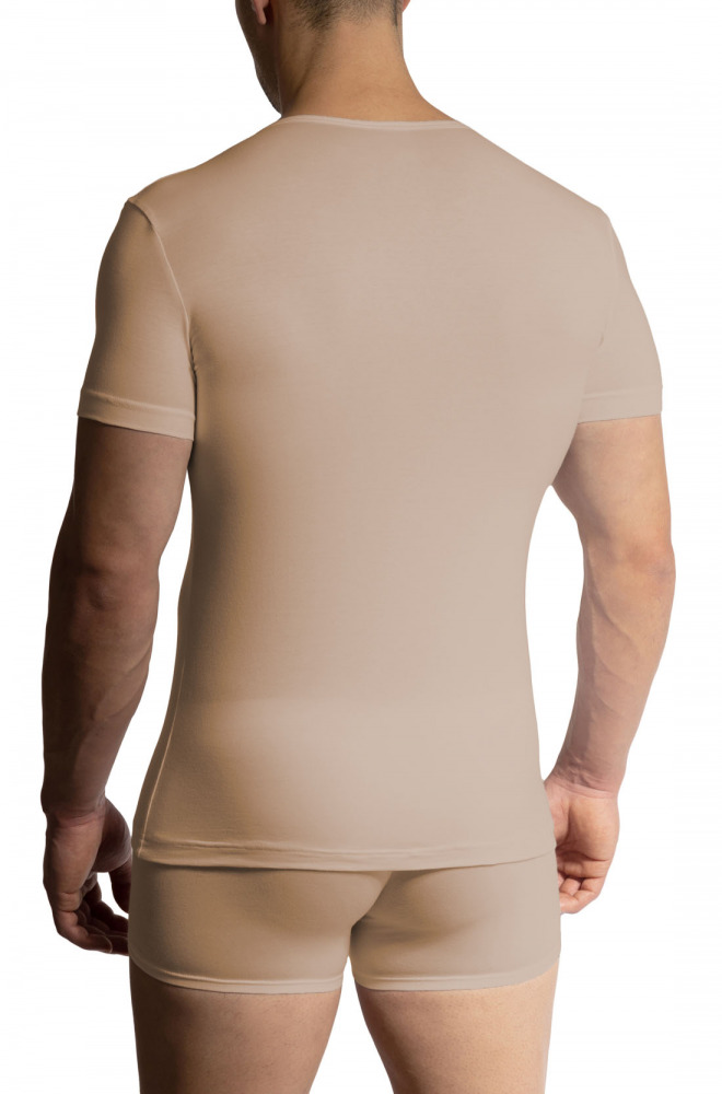 RED1601 V-Neck regular