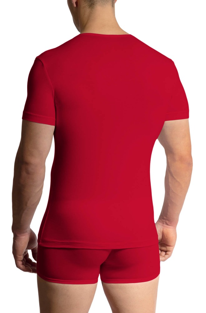 RED1601 V-Neck regular
