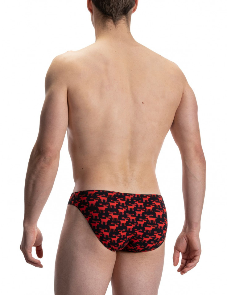 RED2116 Brazil Brief