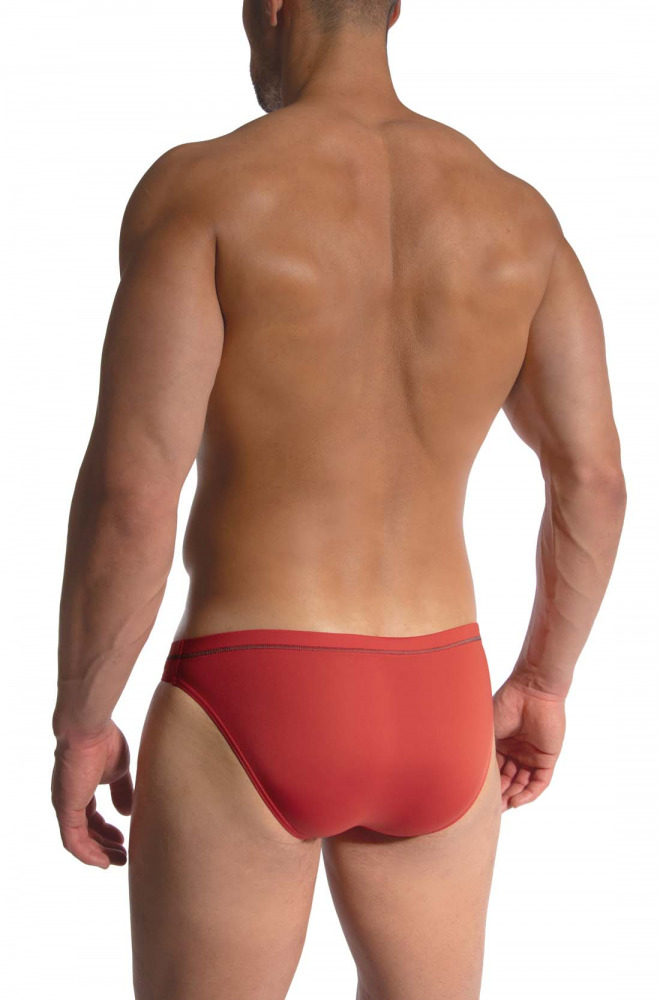 RED2479 Brazilbrief