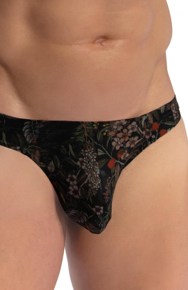 RED2478 Brazilbrief