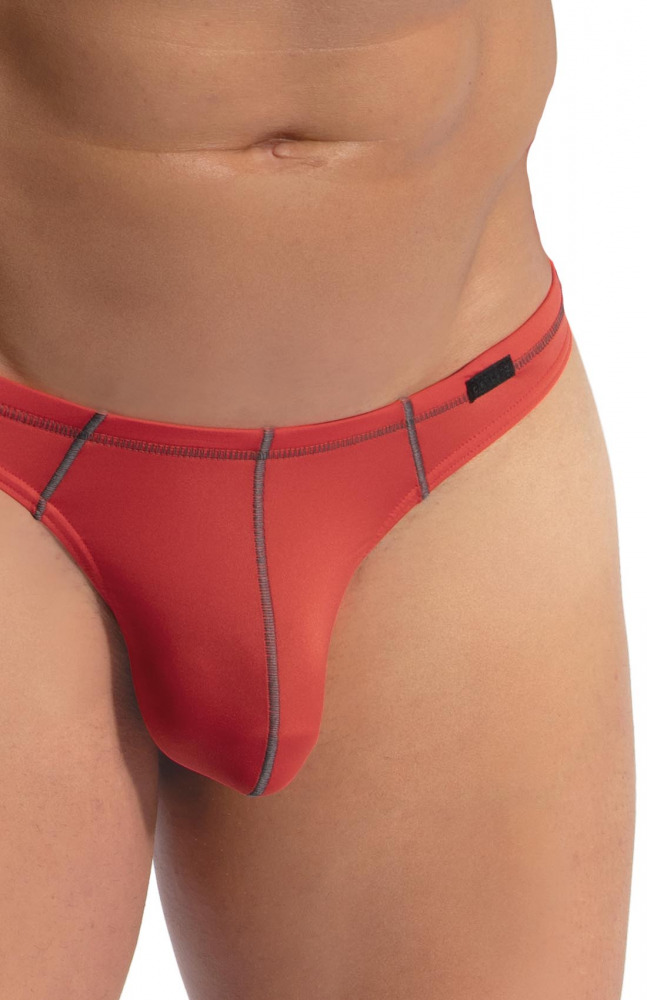 RED2479 Ministring