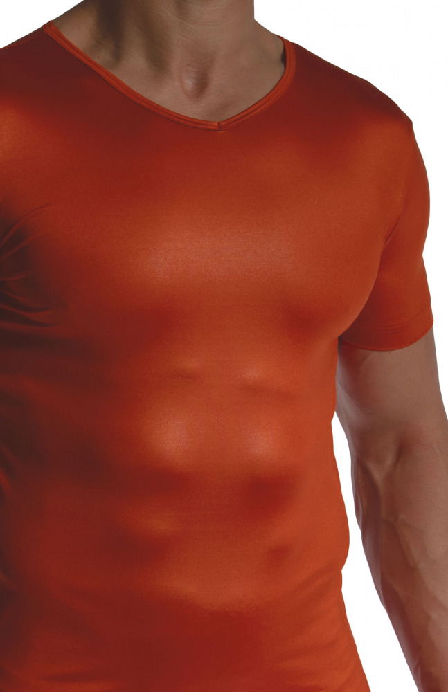 RED2480 V-Neck regular